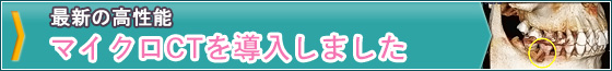 最新マイクロCT導入!
