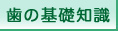 歯の基礎知識｜宇都宮市から通える小山市歯医者