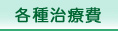 各種治療費（矯正歯科、インプラント費用など）